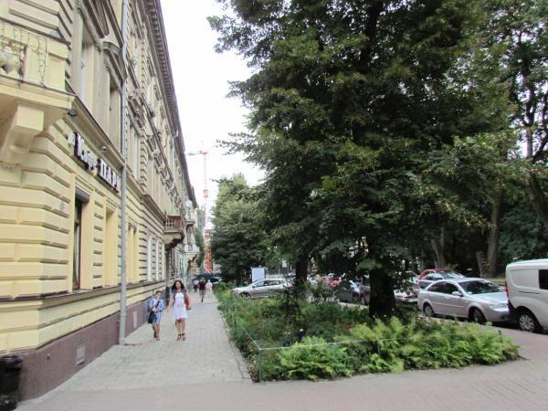 Апартаменты Двухкомнатные Для 6Х Около Парка В Центре Lviv Buitenkant foto